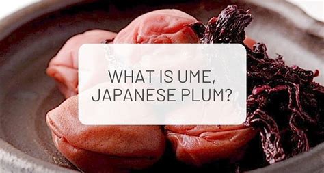 ささみ梅きゅうり：日本の食文化における多様な視点