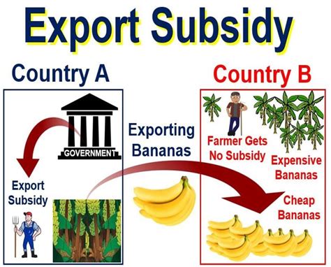 subsidy 뜻: 정부 지원이 경제에 미치는 영향에 대한 논의